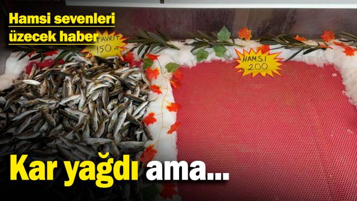 Hamsi sevenleri üzecek haber! Kar yağdı ama...