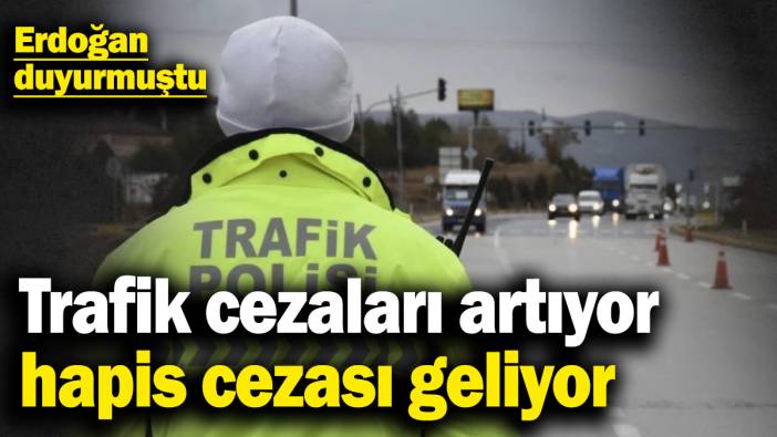 Trafik cezaları artıyor, hapis cezası geliyor! Erdoğan duyurmuştu
