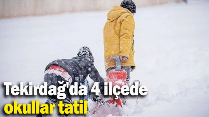 Tekirdağ'da 4 ilçede okullar tatil