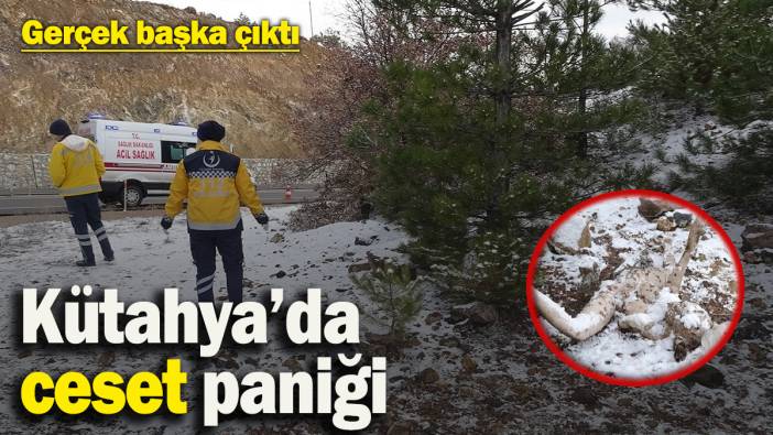 Gelen ihbar sonrası Kütahya ayağa kalktı! Ceset sandılar, gerçek başka çıktı