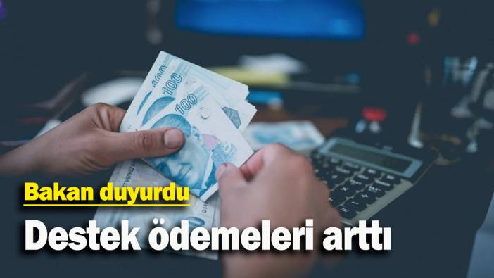 Destek ödemeleri arttı: Bakan duyurdu
