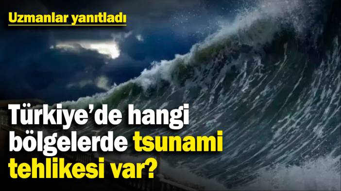 Türkiye’de hangi bölgelerde tsunami tehlikesi var? Uzmanlar yanıtladı