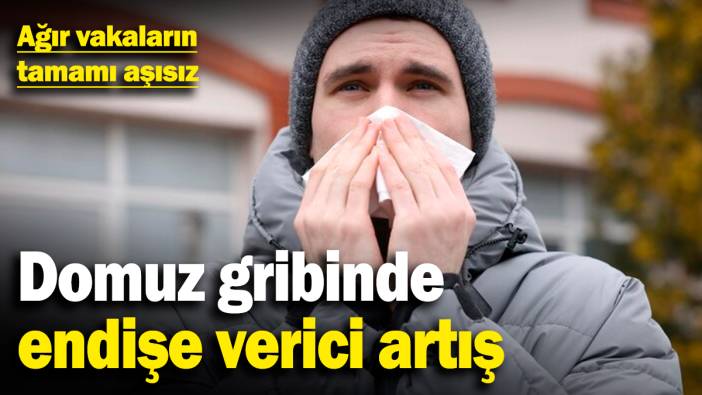Domuz gribinde endişe verici artış! Ağır vakaların tamamı aşısız