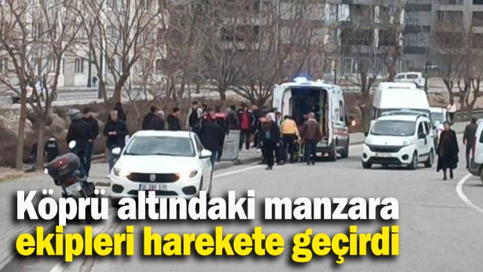 Köprü altındaki manzara ekipleri harekete geçirdi