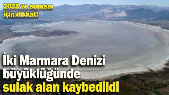 Son 50 yılda, 2 Marmara Denizi büyüklüğünde sulak alan kaybedildi: 2025 ve sonrası için dikkat!