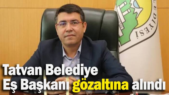 Tatvan Belediye Eş Başkanı gözaltına alındı