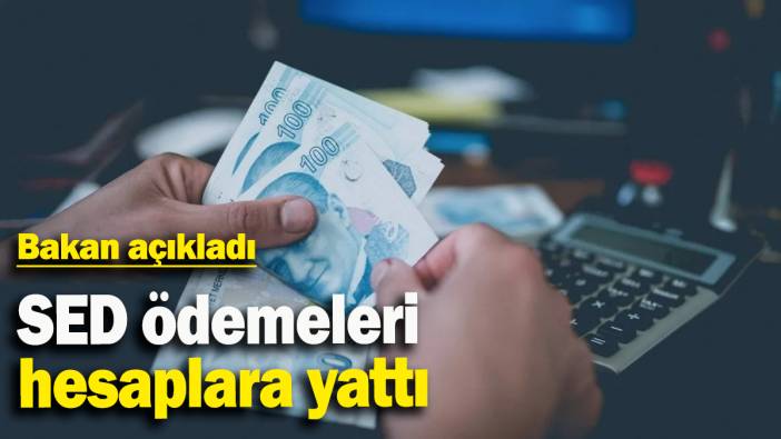 SED ödemeleri hesaplara yattı: Bakan açıkladı