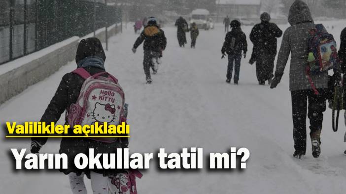 Valilikler açıkladı: Yarın okullar tatil mi?