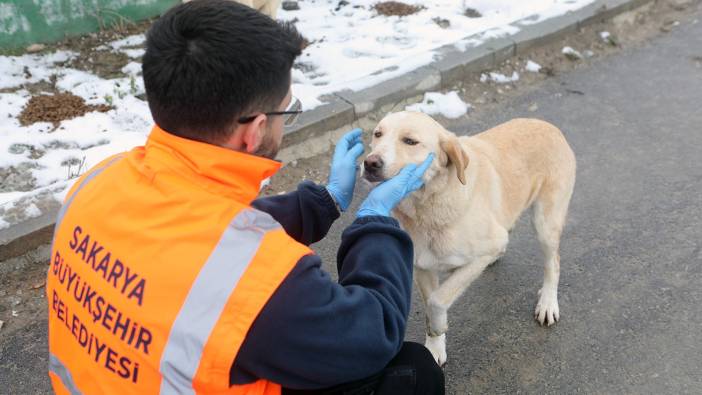 Soğuk kış günlerinde can dostlarımız unutulmadı