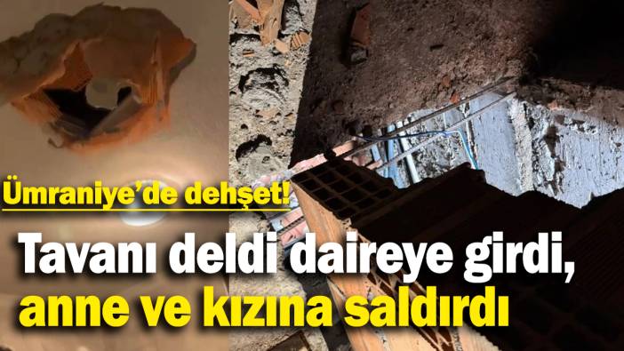 Tavanı deldi daireye girdi, anne ve kızına saldırdı
