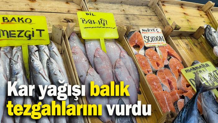 Kar yağışı balık tezgahlarını vurdu