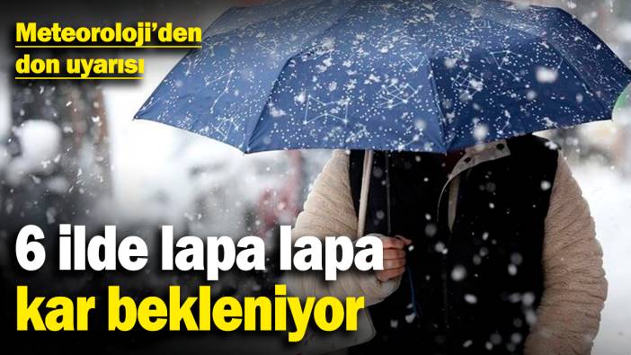 Meteoroloji’den don uyarısı! 6 ilde lapa lapa kar bekleniyor (25 Şubat 2025)