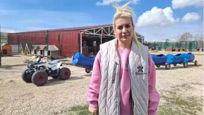 Sokak hayvanları derneğine 'haksız kazanç' davası; 14 sanığa 7’şer yıl hapis istemi