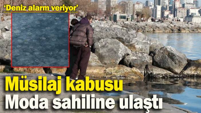 Müsilaj kabusu Moda sahiline ulaştı! Uzmanlar uyarıyor: "Bu mevsimde kesinlikle normal bir durum değil’