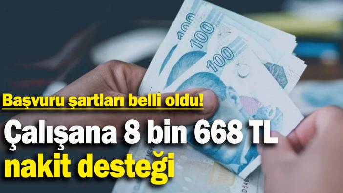 Çalışana 8 bin 668 TL  nakit desteği: Başvuru şartları belli oldu!