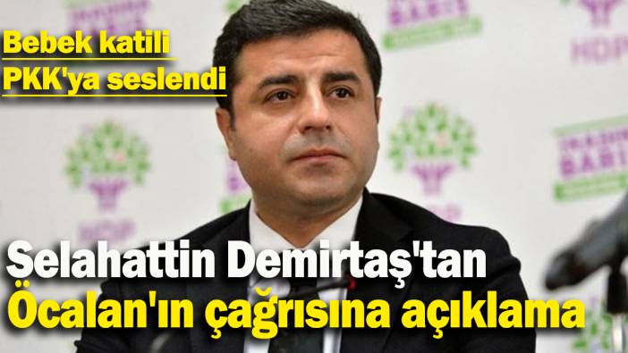 Bebek katili PKK'ya seslendi: Selahattin Demirtaş'tan  Öcalan'ın çağrısına açıklama