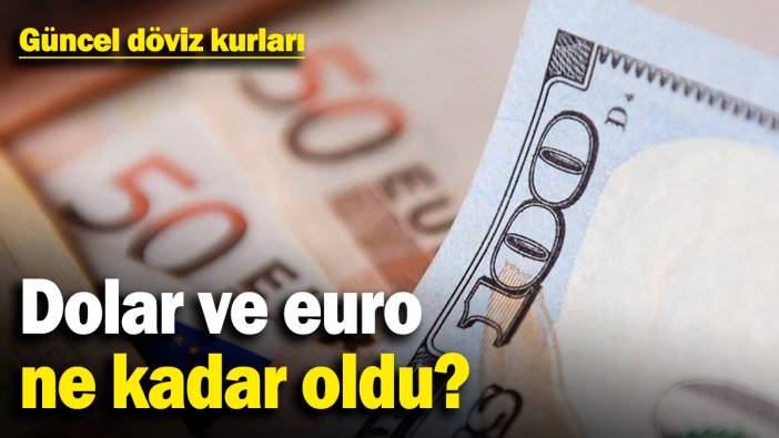 Dolar ve euro ne kadar oldu? Güncel döviz kurları (2.3.2025)