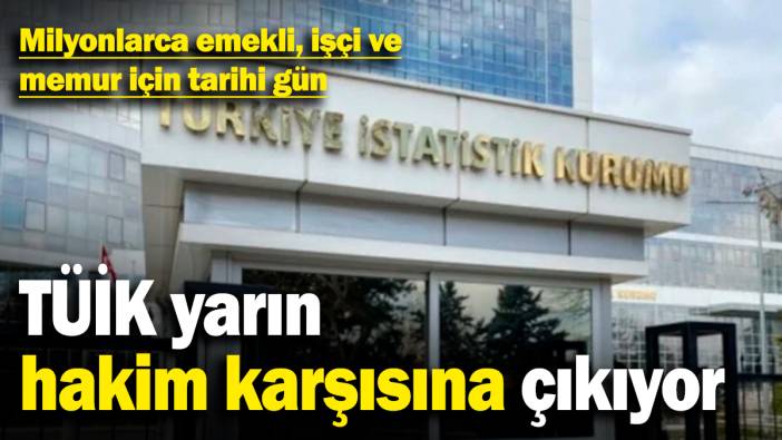Milyonlarca emekli, işçi ve memur için tarihi gün! TÜİK hakim karşısına çıkıyor