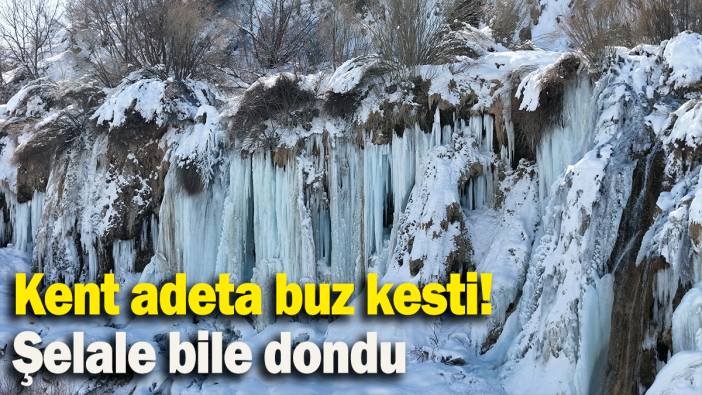 Kent adeta buz kesti! Şelale bile dondu