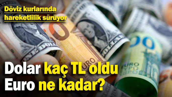 Döviz kurlarında hareketlilik sürüyor! Dolar kaç TL oldu, Euro ne kadar? (4.3.2025)