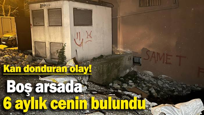 Kan donduran olay: Boş arsada 6 aylık cenin bulundu
