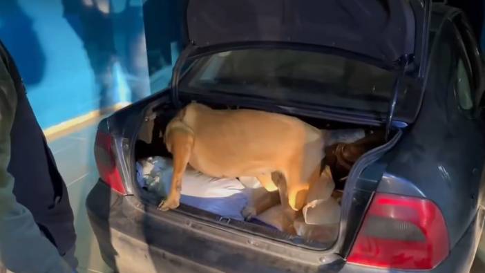 Bingöl'de uyuşturucu operasyonu! 2 şahıs gözaltına alındı