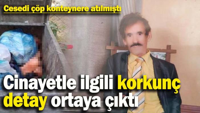 Cesedi çöp konteynere atılmıştı: Cinayetle ilgili korkunç detay ortaya çıktı