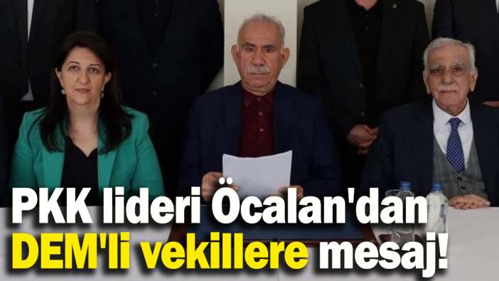 Bebek katili Öcalan'dan DEM'li vekillere mesaj!