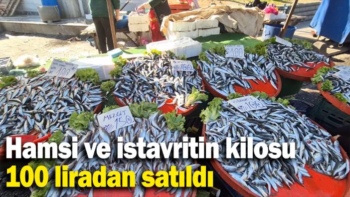 Hamsi ve istavritin kilosu 100 liradan satıldı