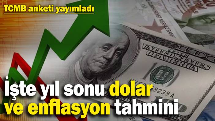 Merkez Bankası Piyasa Katılımcıları anketi yayımlandı: İşte yıl sonu dolar ve enflasyon tahmini