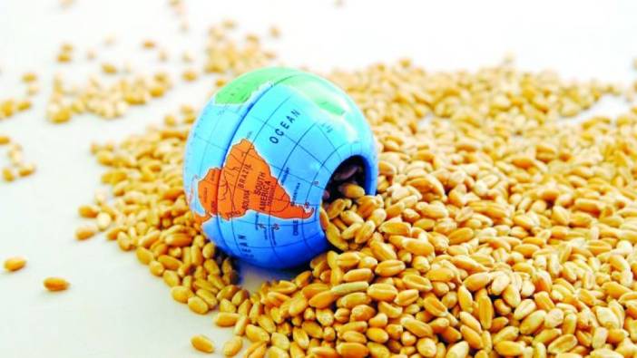 Küresel gıda fiyatları Şubat ayında artış gösterdi