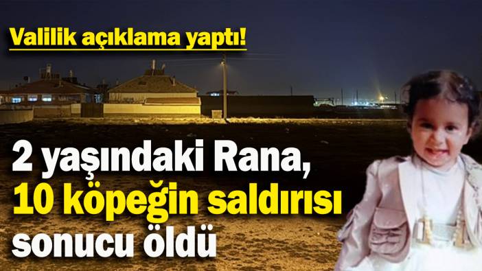 2 yaşındaki Rana, 10 köpeğin saldırısı  sonucu öldü: Valilik açıklama yaptı!