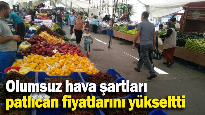 Olumsuz hava şartları patlıcan fiyatlarını yükseltti