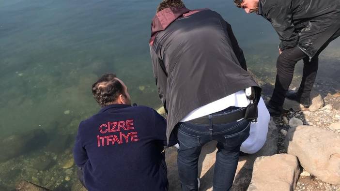 Şırnak'ta intihar girişimi! İtfaiye erlerinin çabasıyla ikna edildi