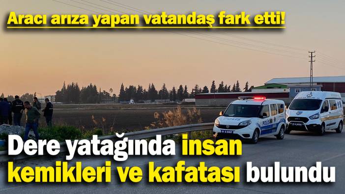 Dere yatağında insan  kemikleri ve kafatası bulundu: Aracı arıza yapan vatandaş fark etti!