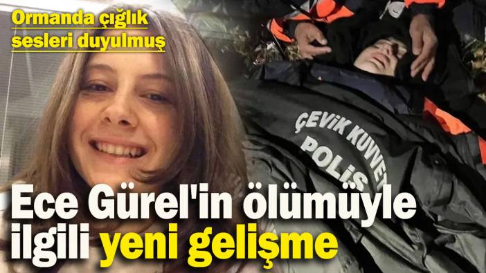 Ece Gürel'in ölümüyle ilgili yeni gelişme: Ormanda çığlık sesleri duyuldu