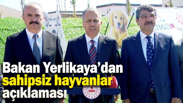 Bakan Yerlikaya’dan sahipsiz hayvanlar açıklaması: '39 mülkiye müfettişi, 2 ayda bir belediyeleri denetleyecek'