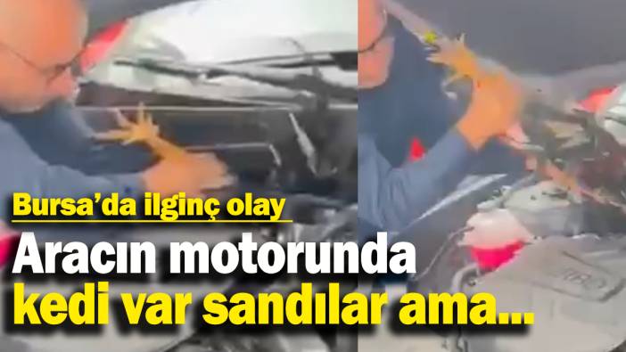 Aracın motorunda  kedi var sandılar ama...