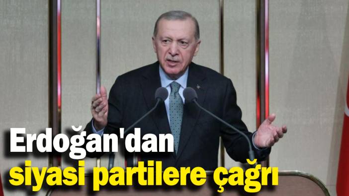 Erdoğan'dan siyasi partilere çağrı