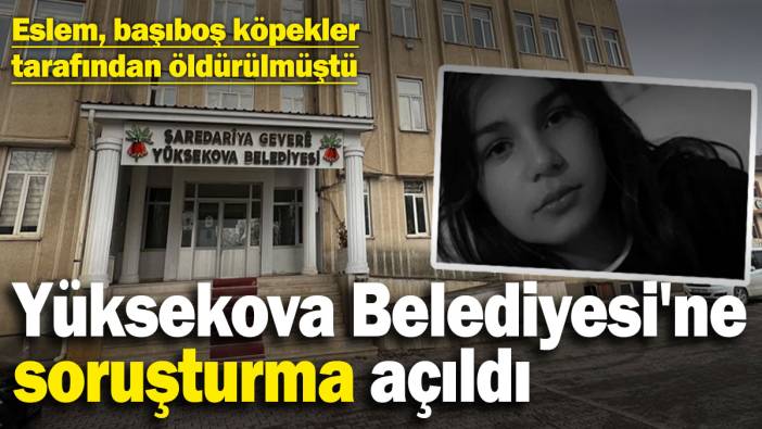 12 yaşındaki Eslem, başıboş köpekler tarafından öldürülmüştü: Yüksekova Belediyesi'ne soruşturma açıldı