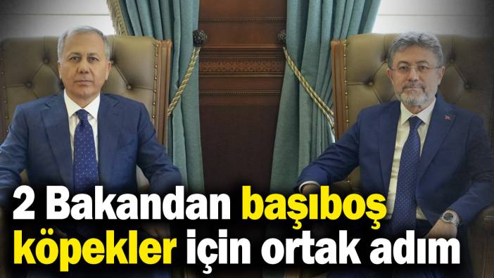 Yerlikaya ve Yumaklı'dan sahipsiz köpekler için ortak adım