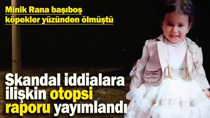Minik Rana başıboş köpekler yüzünden ölmüştü! Otopsi raporu yayımlandı: Skandal iddialara ilişkin 1 kişi tutuklandı