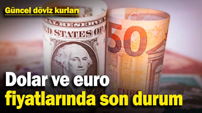 Dolar ve euro fiyatlarında son durum! Güncel döviz kurları (18.3.2025)