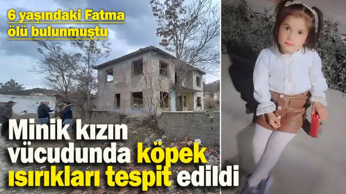 6 yaşındaki Fatma ölü bulunmuştu! Minik kızın vücudunda köpek ısırıkları tespit edildi