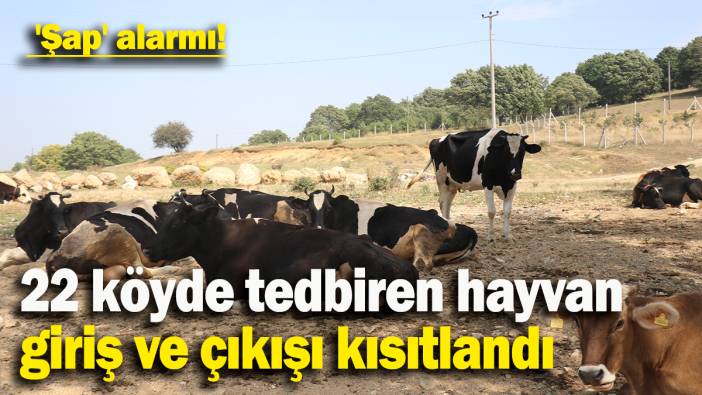 Şap hastalığı yayılmasın diye önlem alındı: 22 köyde tedbiren hayvan giriş ve çıkışı kısıtlandı
