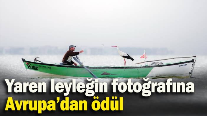 Yaren leyleğin fotoğrafına Avrupa’dan ödül