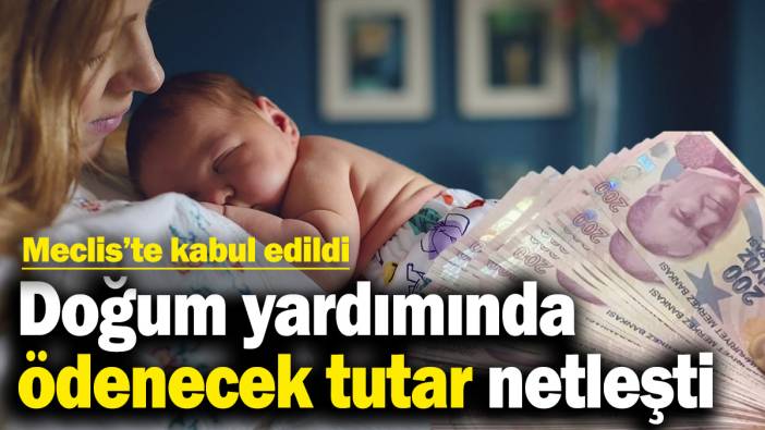 Doğum yardımında ödenecek tutar netleşti! Meclis’te kabul edildi
