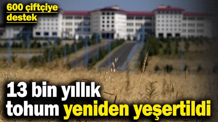 Ata yadigarı 13 bin yıllık tohum yeniden yeşertildi! 600 çiftçiye destek