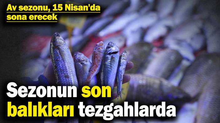 Sezonun son balıkları tezgahlarda! Av sezonu, 15 Nisan'da sona erecek