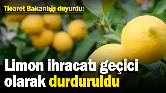 Ticaret Bakanlığı duyurdu: Limon ihracatı geçici olarak durduruldu